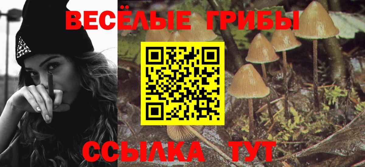 Псилоцибиновые грибы Magic Shrooms Кинель