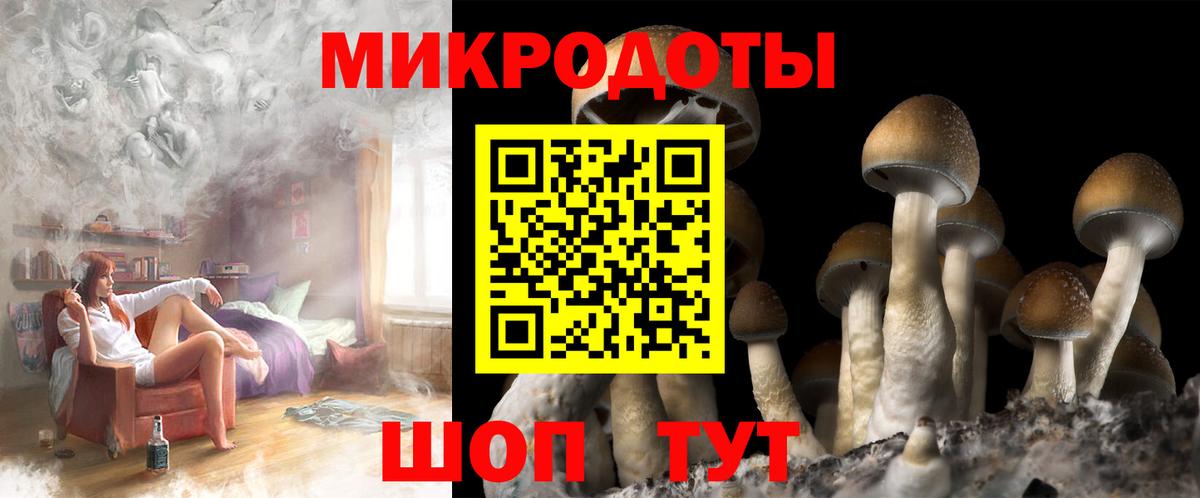 Галлюциногенные грибы Cubensis  Вход с VPN  Кинель 